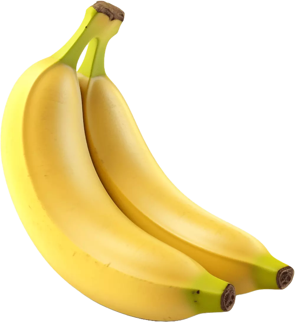 Logo Not a Monkey